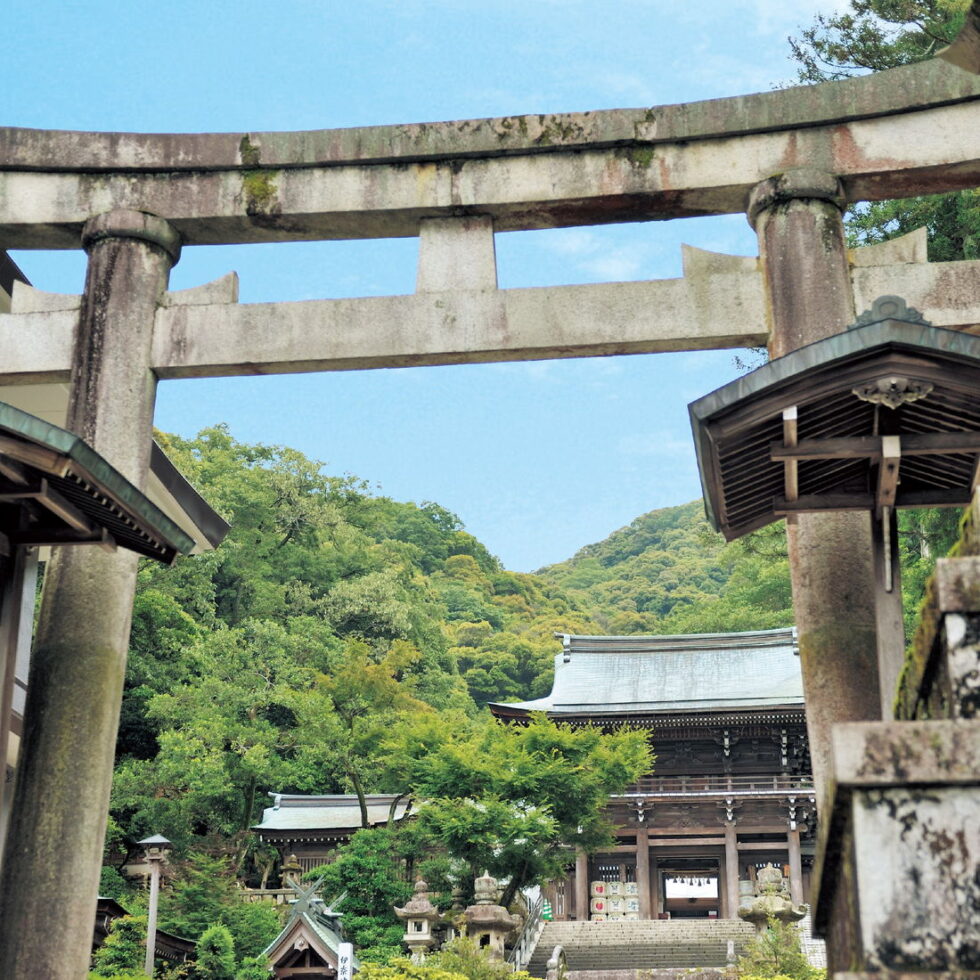 岐阜「伊奈波神社」で初詣！ご利益のあるパワースポット「黒龍社」や、周辺の立ち寄りスポットも