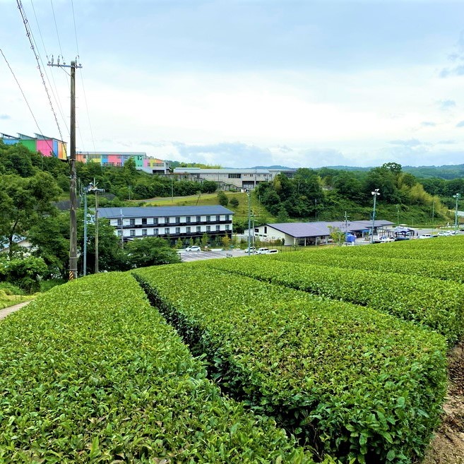 「TRIP BASE STYLE」で新しい旅に出よう！ Vol.5 日本遺産の茶畑と地元愛が光る、京都「みなみやましろ村」【PR】